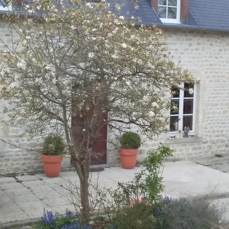 De Rose - Le Refuge Des Parachutistes - En Bordure Du Marais *