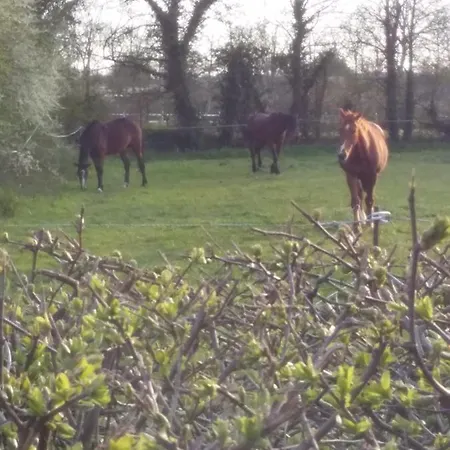 לינה וארוחת בוקר De Rose - Le Refuge Des Parachutistes - En Bordure Du Marais Neuville-au-Plain
