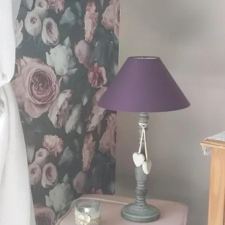 De Rose - Le Refuge Des Parachutistes - En Bordure Du Marais 3*