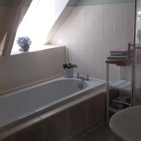 De Rose - Le Refuge Des Parachutistes - En Bordure Du Marais Neuville-au-Plain