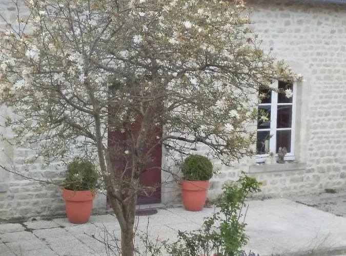 De Rose - Le Refuge Des Parachutistes - En Bordure Du Marais 3*