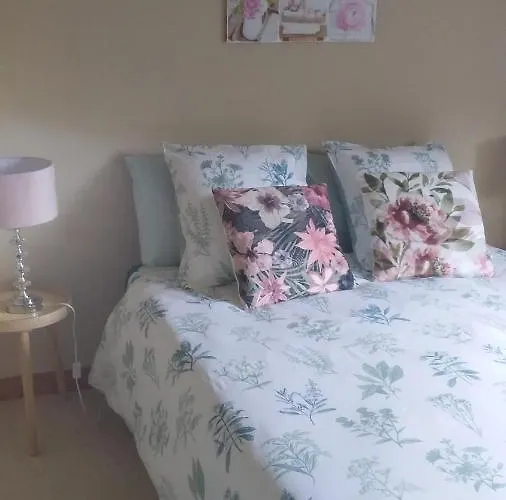 De Rose - Le Refuge Des Parachutistes - En Bordure Du Marais 3*