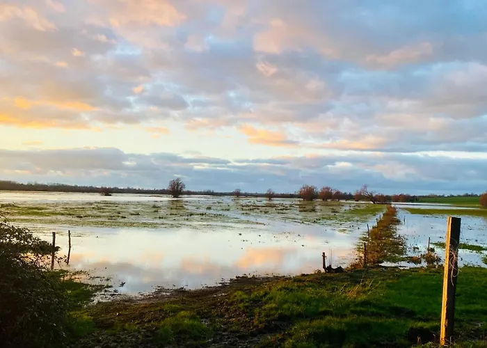 De Rose - Le Refuge Des Parachutistes - En Bordure Du Marais Alojamento de Acomodação e Pequeno-almoço Neuville-au-Plain