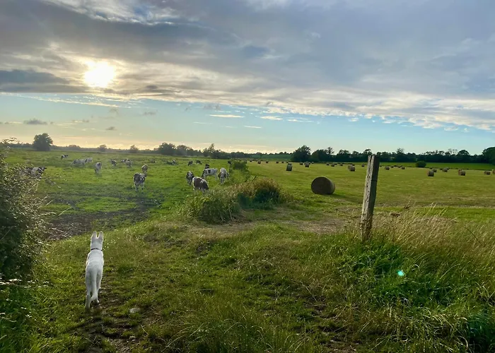 De Rose - Le Refuge Des Parachutistes - En Bordure Du Marais Alojamento de Acomodação e Pequeno-almoço Neuville-au-Plain
